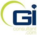 TheGIConsultant.com Limited. logo